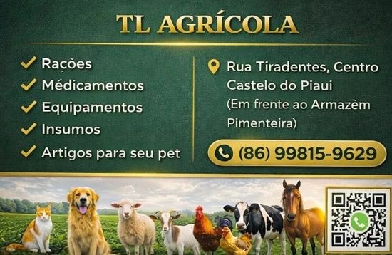 Em castelo do Piauí conte com a TL AGRÍCOLA pra economizar na hora de comprar ração e medicamentos veterinário.  É QUALIDADE DE VERDADE pra aumentar sua produção e cuidar bem dos seus animais!!!    Estamos localizados na rua Tiradentes centro de castelo do Piauí em frente ao armazém Pimenteira e ao lado da Farias credito.  Organização: ir Léo e ir Taty  (86)998159629  TL AGRICOLA SEU PARCEIRO FORTE NO CAMPO E NA CIDADE.